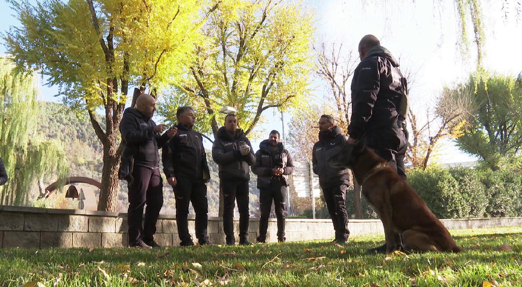 Exercici caní conjunt entre Mossos i Policia per a futures intervencions