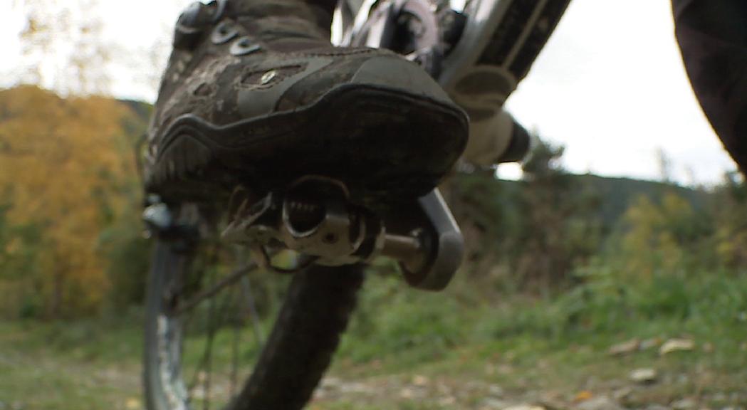 Èxit total del lloguer de bicicletes entre un públic familiar i turista 