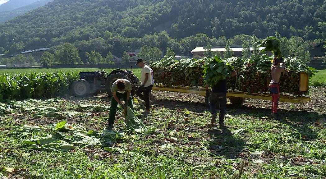 La falta de mà d'obra és un problema cada cop més greu