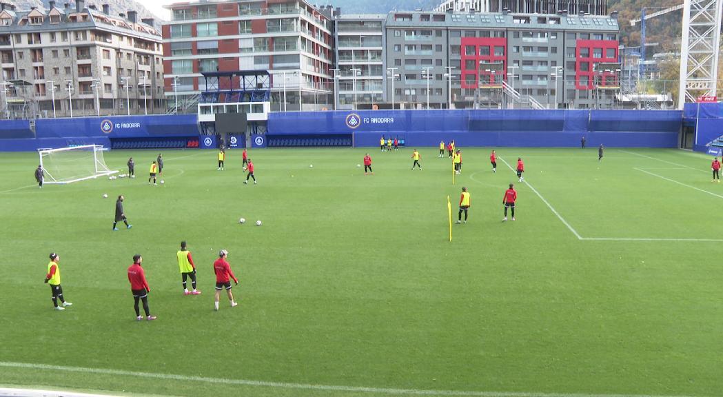 El FC Andorra vol fer llenya de l'arbre caigut a Eivissa 