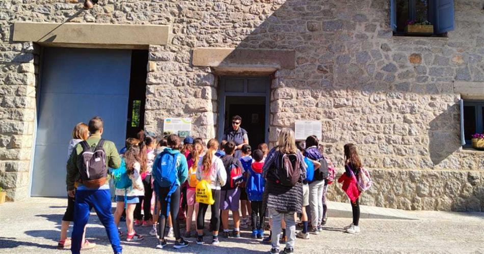 Les activitats i visites organitzades per FEDA Cultura al MW Muse