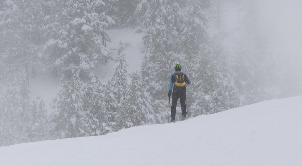 Forfet natura només a les zones regulades de les estacions