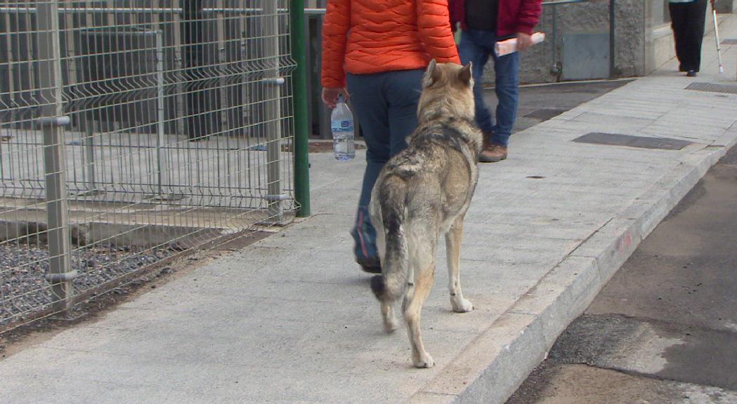 Formacions a l'alça