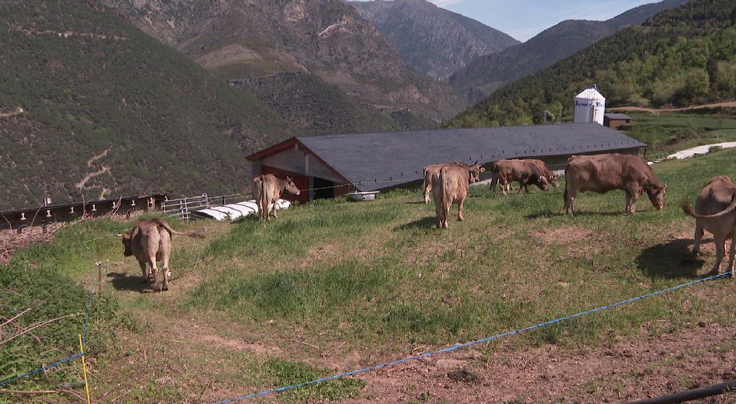 Govern demana als comuns accelerar la normativa sobre edificis per a ús ramader i agrícola