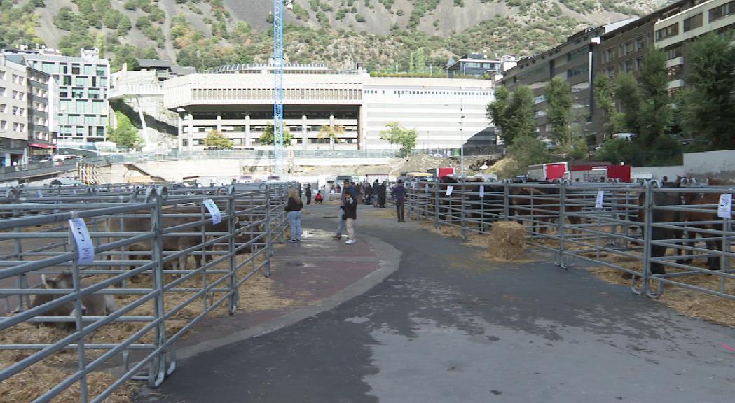 Els infants gaudeixen de la tradicional Fira del Bestiar