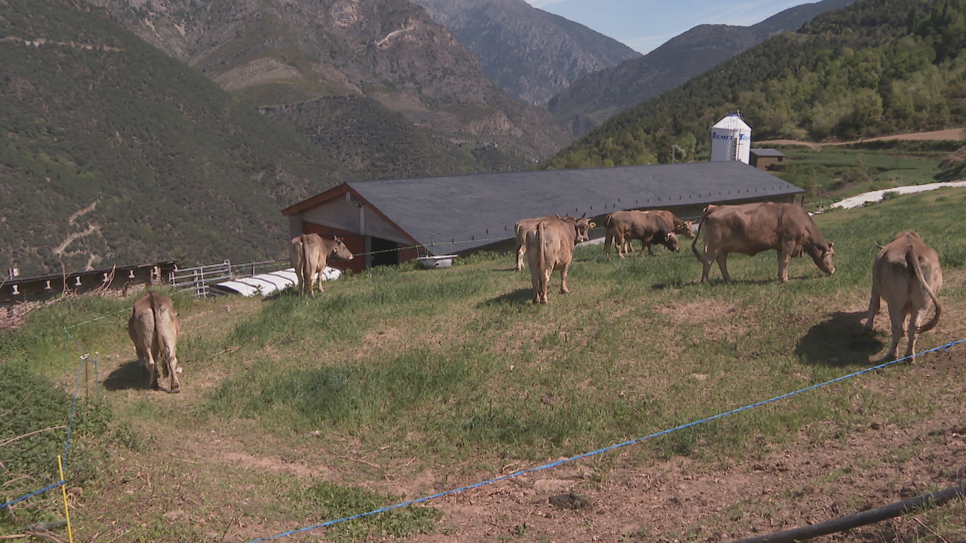 Instal·lacions agrícoles més modernes i adaptades al sector 