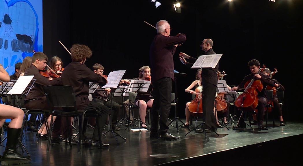 L'Institut de Música d'Andorra la Vella celebra un concert solidari en benefici d'Unicef