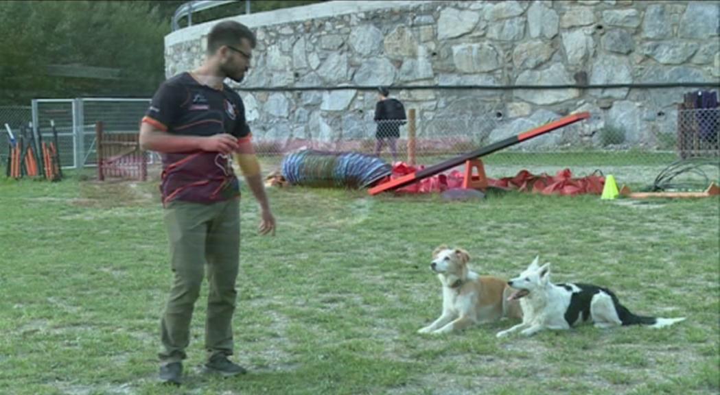 Jornada de portes obertes i inauguració a Kissos, un camp esportiu d'Agility