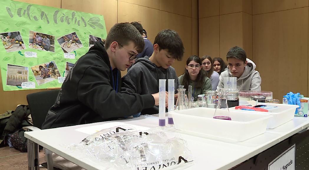 Els joves comparteixen coneixements i idees en la 5a Trobada de científics