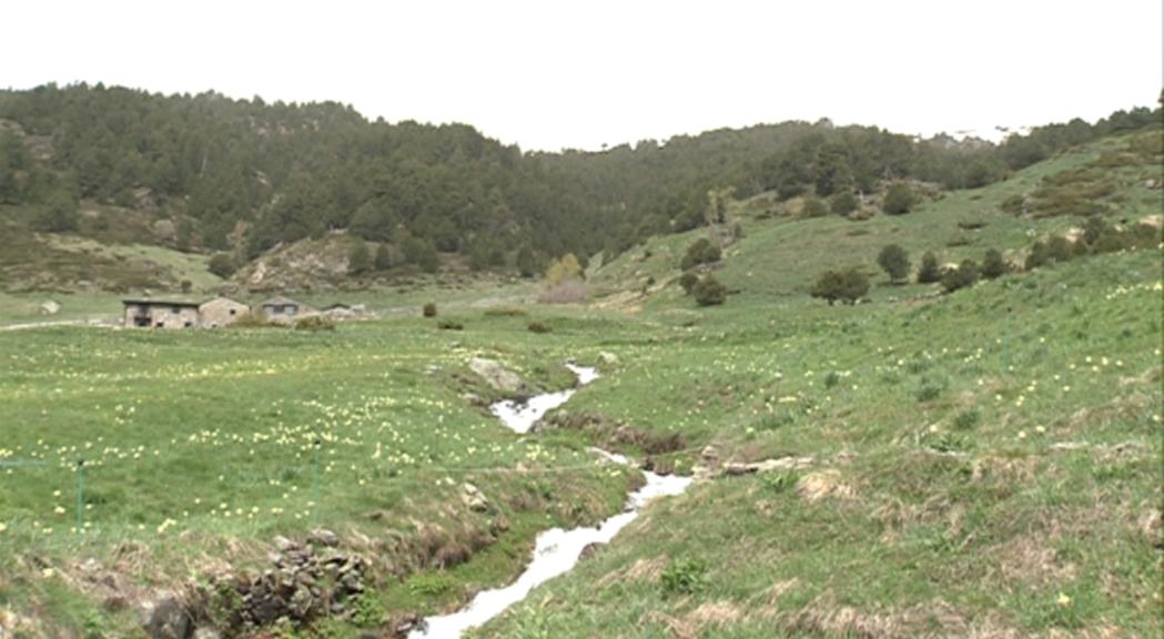 Joves iberoamericans faran treball de camp a la vall del Madriu durant un campament al juliol