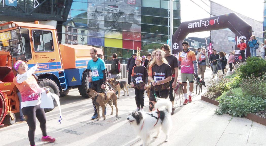 Laika i GosSOS denuncien un augment d'abandonaments d'animals de companyia a l'estiu