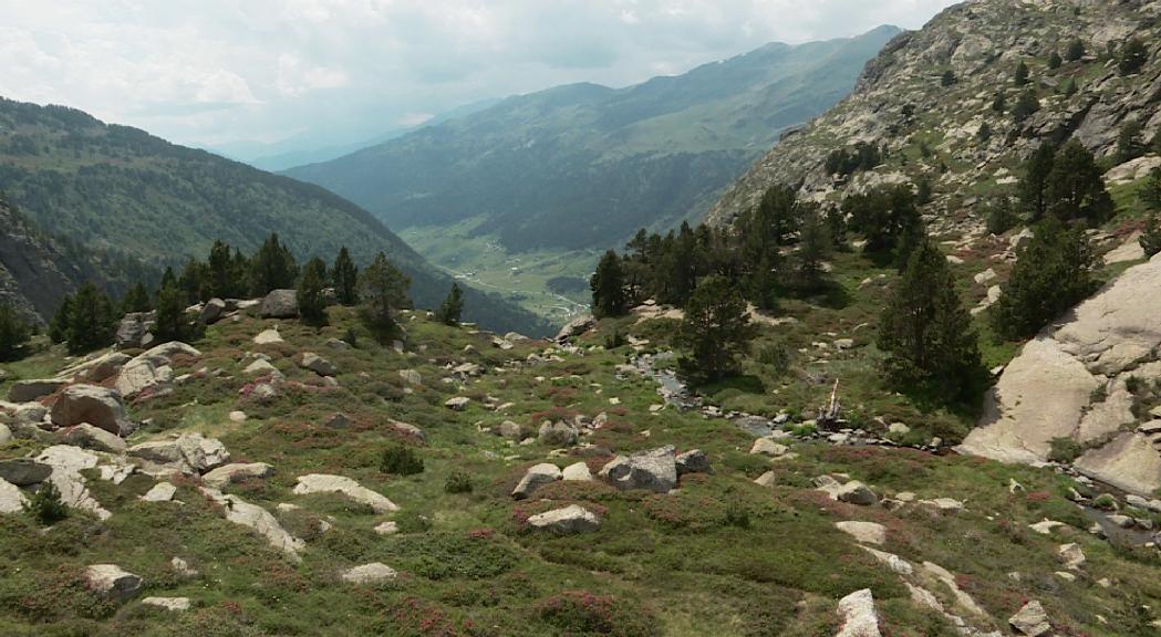 La majoria de la població creu en el canvi climàtic i en la necessitat de mesures fermes per combatre'l