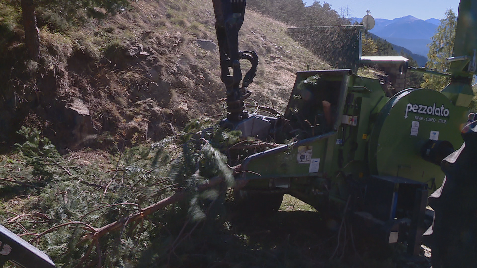 La Massana dobla les accions en gestió forestal per protegir i netejar les zones urbanes i naturals del Comú 