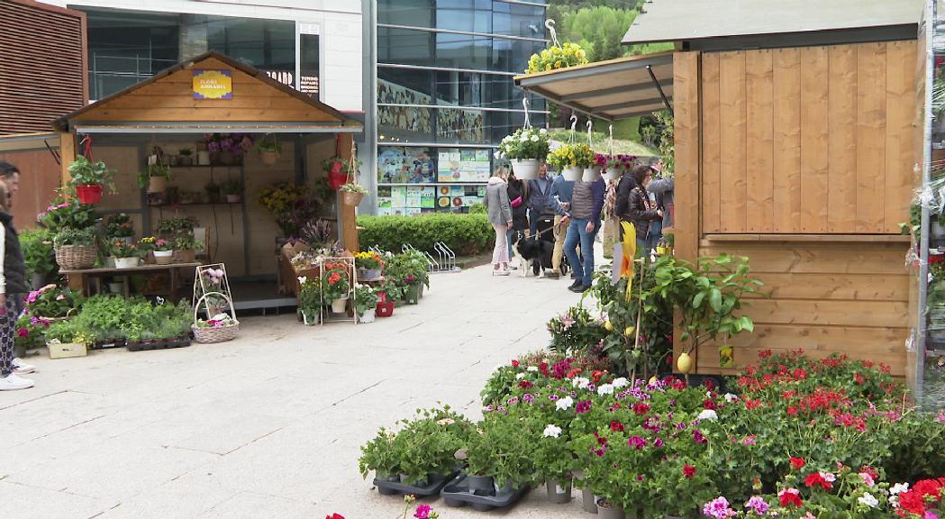 La Massana s'omple de gent i de flors en la 29a edició de l’Andoflora