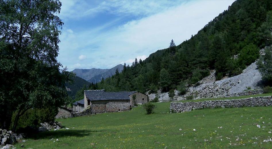 Consolidació de les activitats a Ràmio a la vall del Madriu. Aque