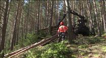 Més accessos rodats als boscos, una millora per a la gestió forestal