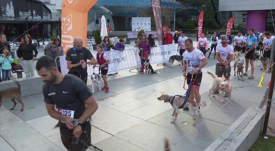 La quarta edició de l'OTSO Trail Dog espera aplegar uns 120 equip