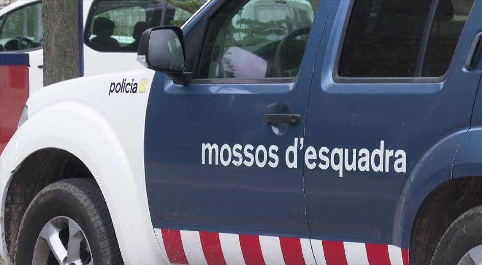 Els mossos d'esquadra de la Seu d'Urgell han detingut aquest cap 