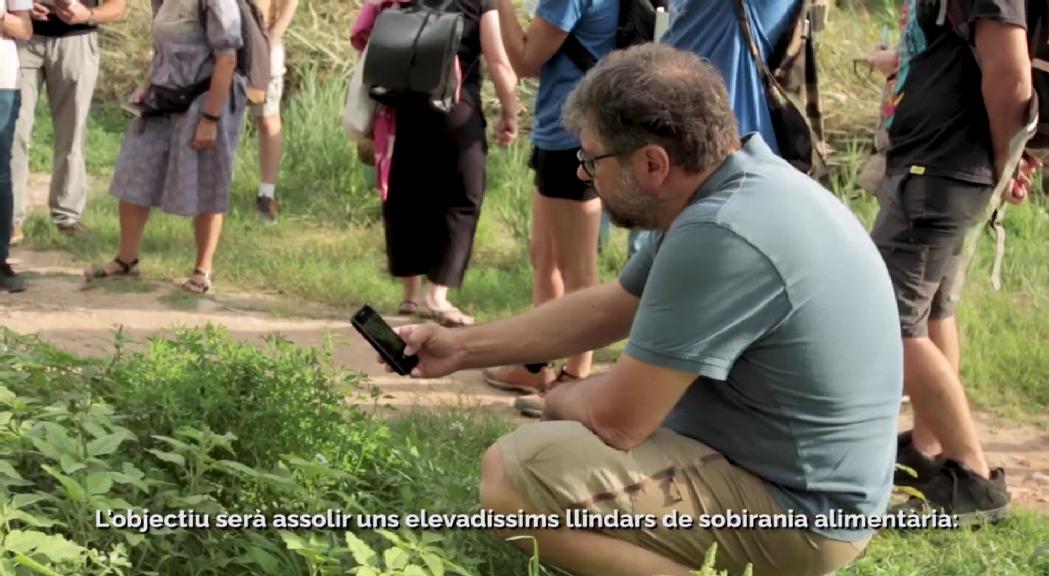 Mostra de cinema per aprofundir en la relació entre l'ésser humà i les plantes