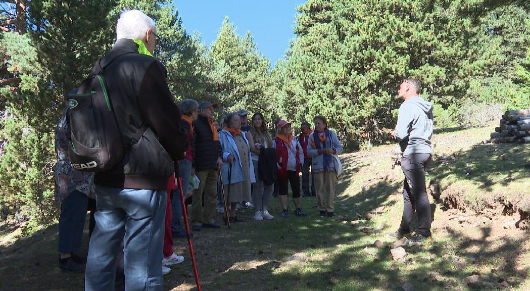 Muntanya segura per als padrins