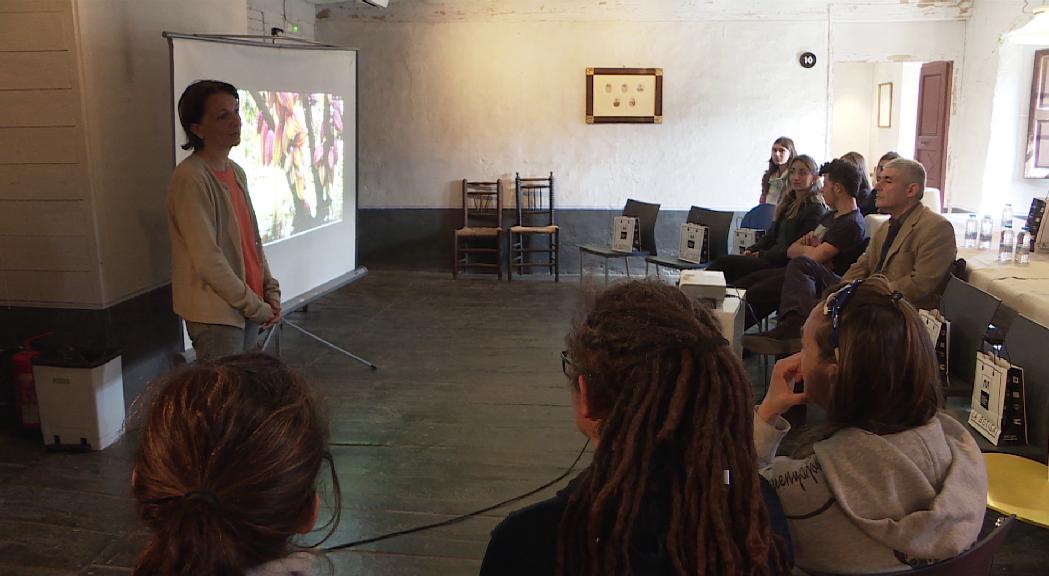 El Museu Casa Rull acull les activitats del programa ‘Canya als museus’