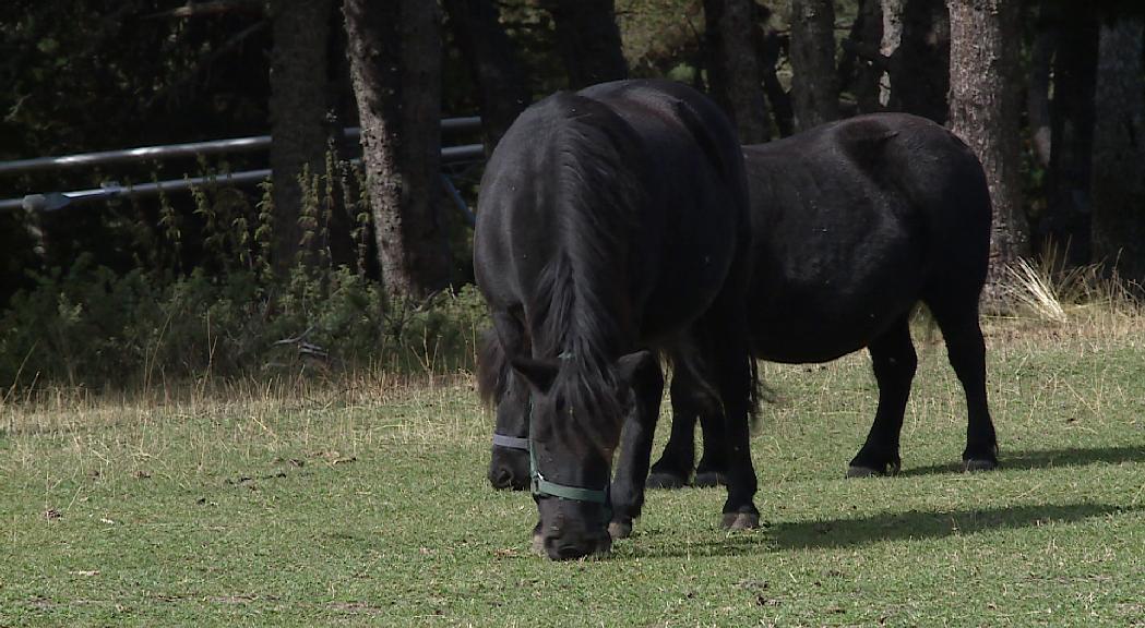 Naturland reaprofita les instal·lacions del parc d'animals per potenciar l'esquí de fons, la granja i sortides a cavall