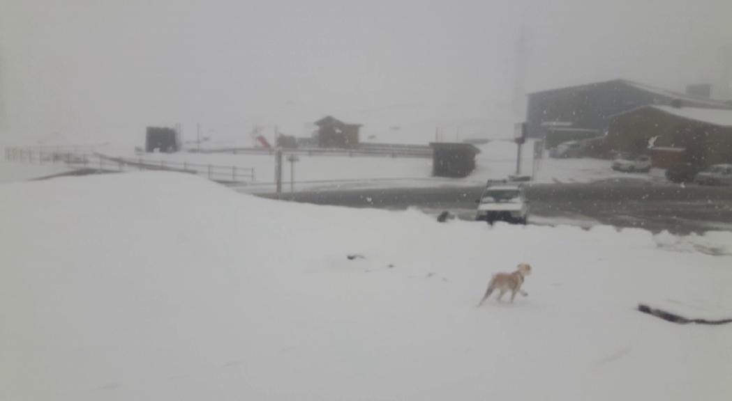 La neu torna i deixarà gruixos de fins a 30 cm a les zones altes