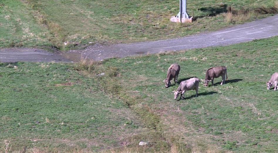 Andorra participa al PASTORCLIM, un projecte per fer front als ef