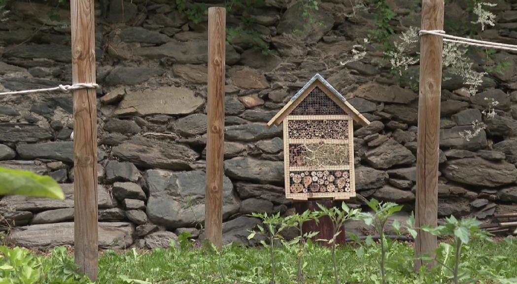 Ordino instal·la als horts de Casa Rossell un dels hotels d'insectes creats per l'Aula Taller