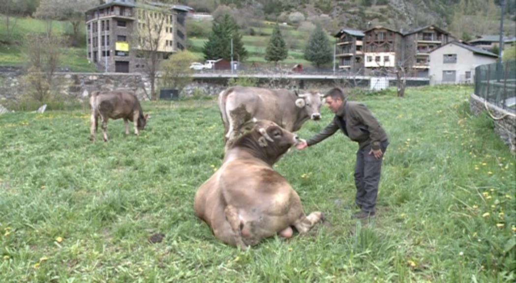 Ordino reuneix la ciutadania aquest dimarts per explicar la candidatura a reserva de la biosfera 