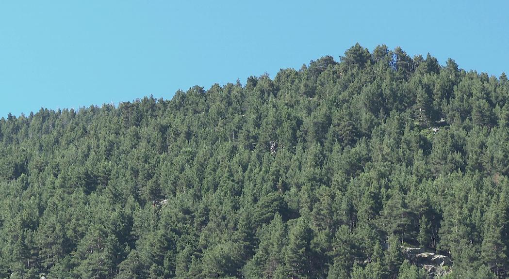 El Parc Natural del Comapedrosa s'ampliarà fins a la zona del Roc de la Cauba