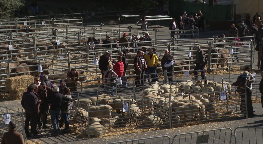 Pas en ferm per a la continuïtat de les explotacions agrícoles i ramaderes