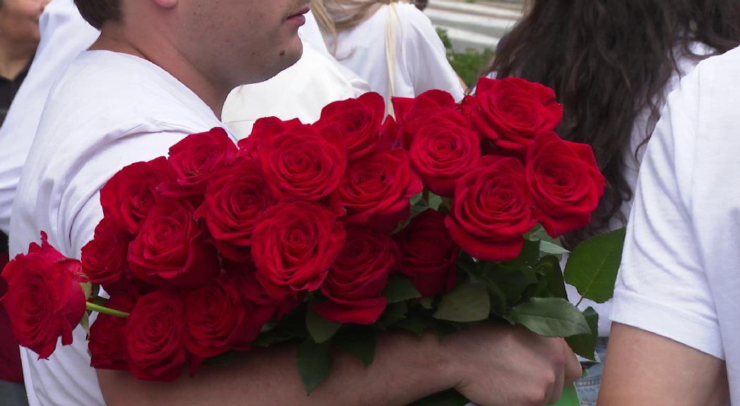 La plegada de roses, un dels dies més tradicionals d'Ordino