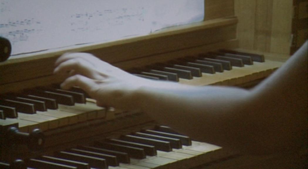 Programa variat a les segones Jornades d'orgue ibèric