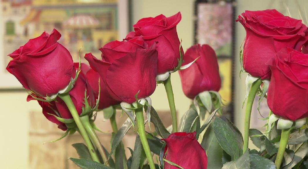 La pujada de preus encareix les roses de Sant Jordi, tot i que no costarà més al consumidor