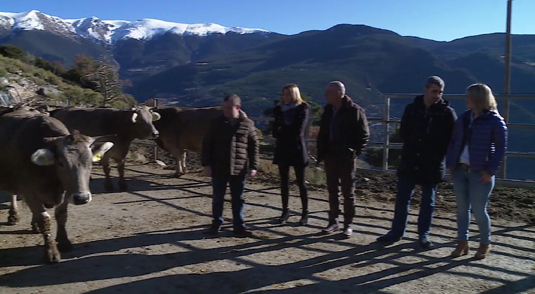 Ramaderia i agricultura, un canvi dràstic a Naturlàndia i l'accés rodat a la muntanya centren la jornada a Sant Julià