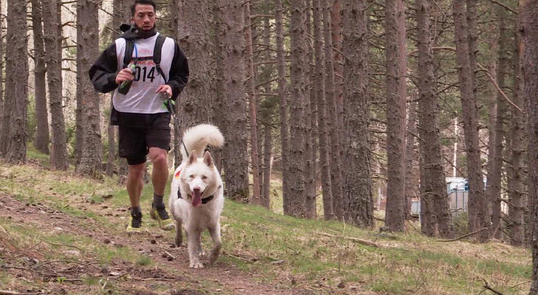 Un recorregut de 21 quilòmetres és la gran novetat de l'OTSO Trail Dog