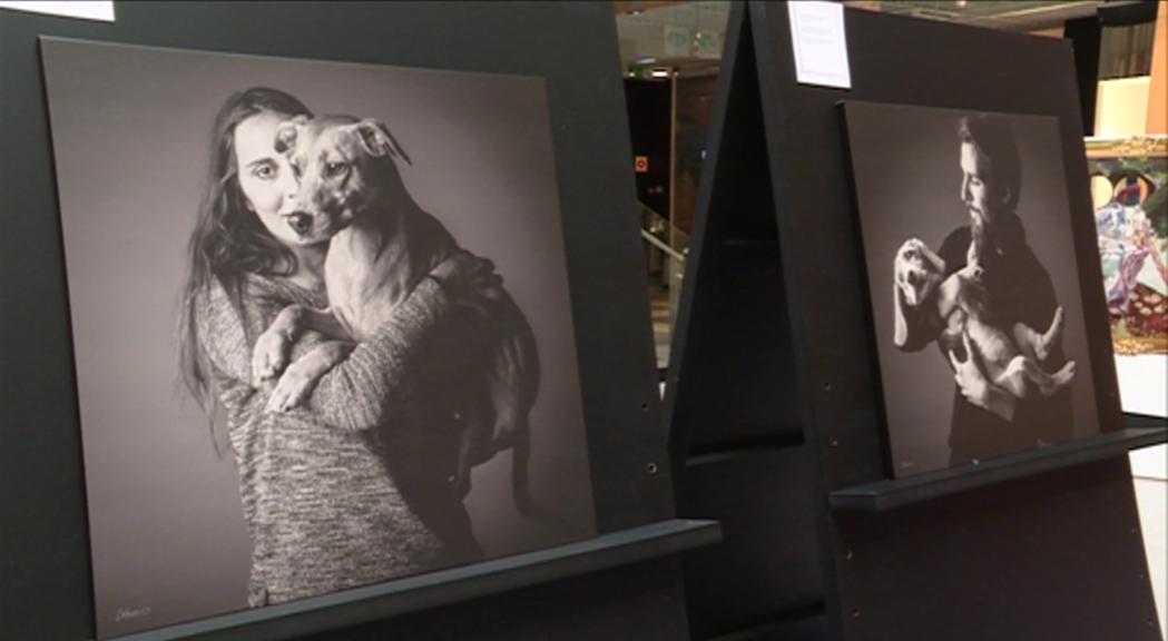 La relació entre les persones i els gossos, en una exposició solidària