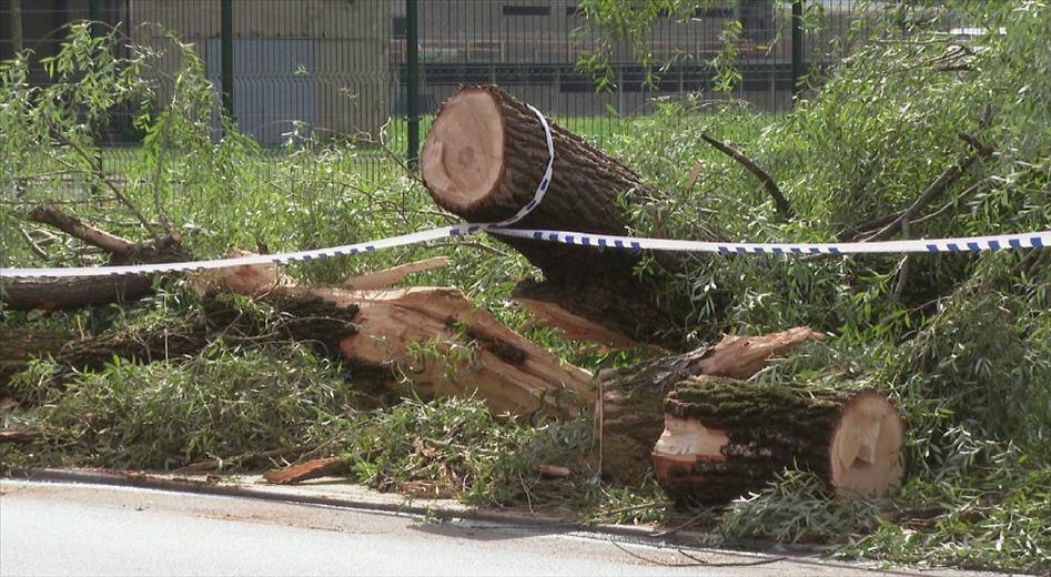 Segueixen les tasques de neteja de carrers i carreteres afectats 