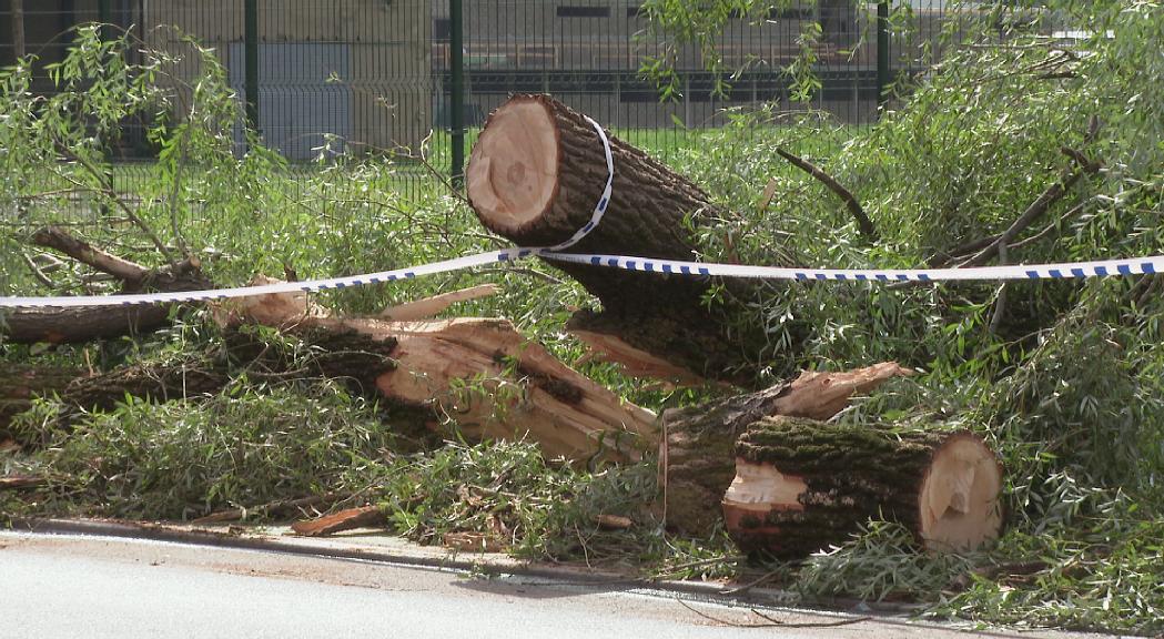 Segueixen en marxa els treballs de neteja i reparació de les vies i carrers afectats pel temporal de diumenge 