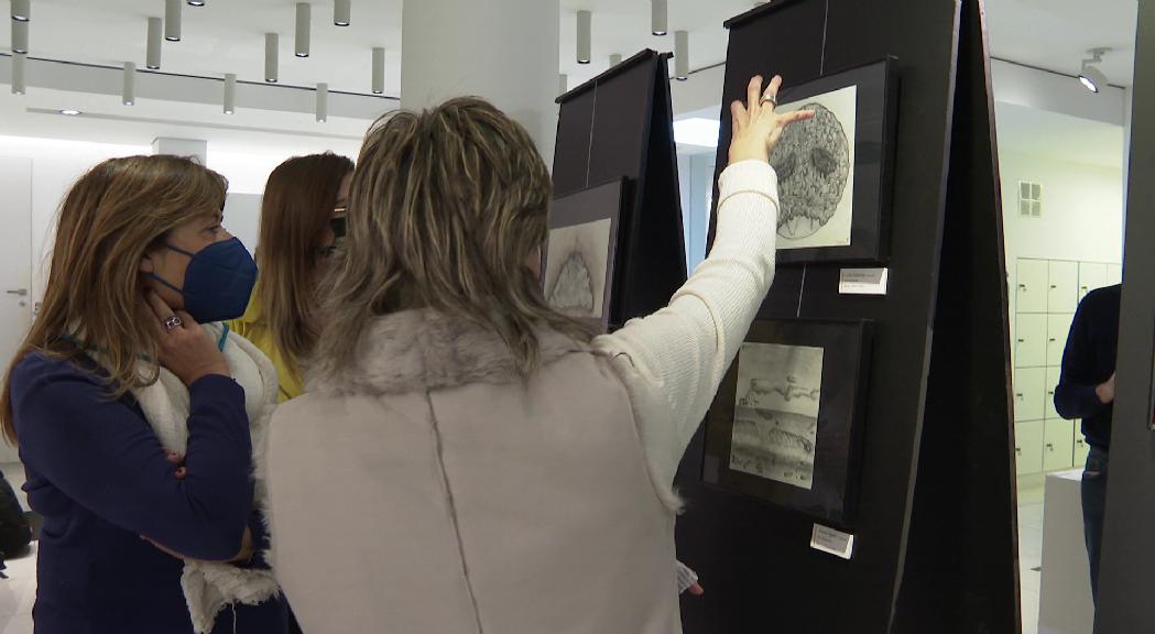 'Paisatge en risc', l'exposició amateur del Thyssen que vol conscienciar de com estem fent malbé la natura