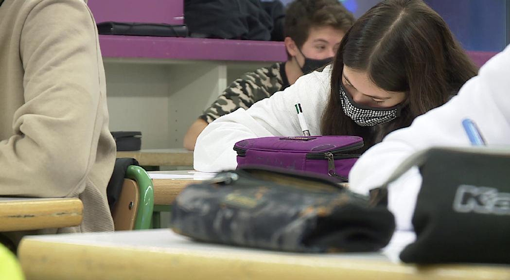 El Sindicat d'Ensenyament fa una valoració positiva del curs i demana més efectivitat en cas de continuar amb les classes telemàtiques