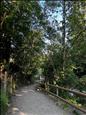  Tancat el Camí Ral a la Massana per les obres de la desviació 