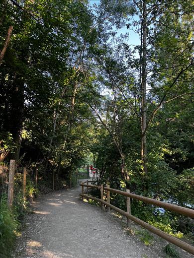 A la Massana, el Camí Ral romandrà tancat fins a la