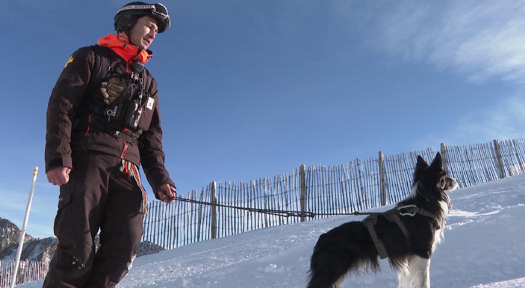 La tasca menys visible dels equips canins a pistes