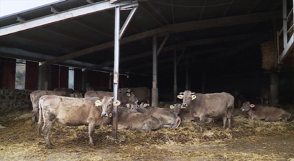 La llei òmnibus d'agricultura i ramaderia ha estat aprovada amb e