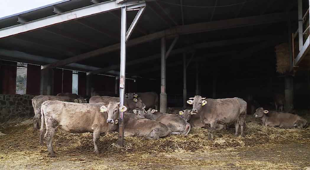 Terceravia no dona suport a la llei òmnibus d'agricultura i ramaderia