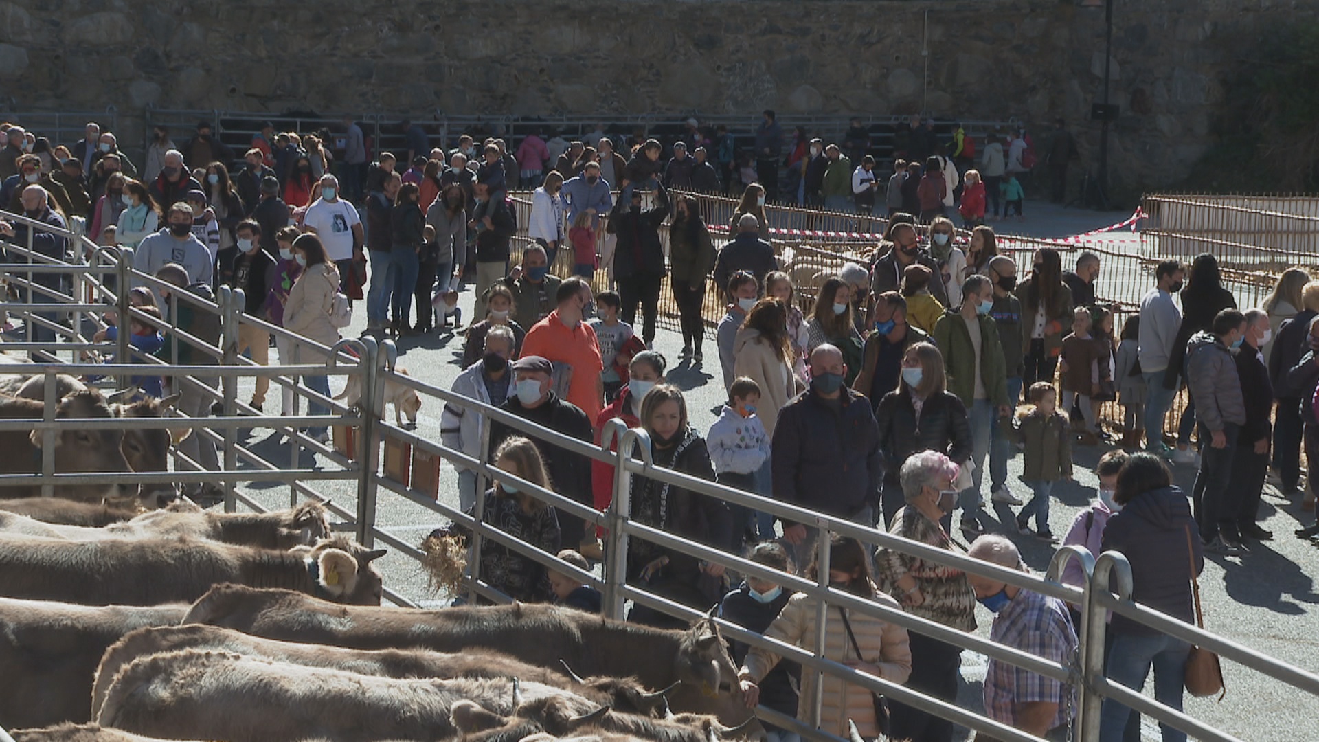 Torna la Fira del Bestiar de Canillo després de l'aturada per la pandèmia 