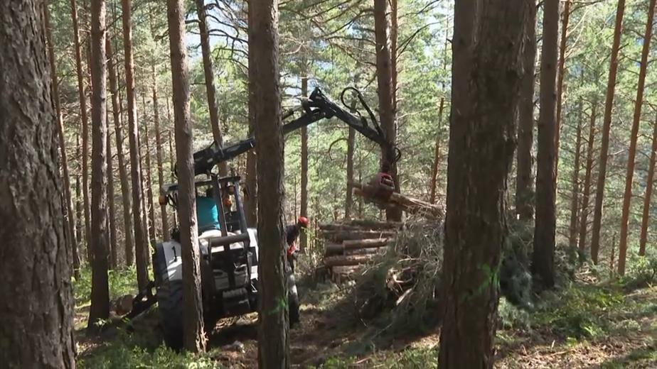 El bosc de la Comella disposarà d'un tallafoc per redu