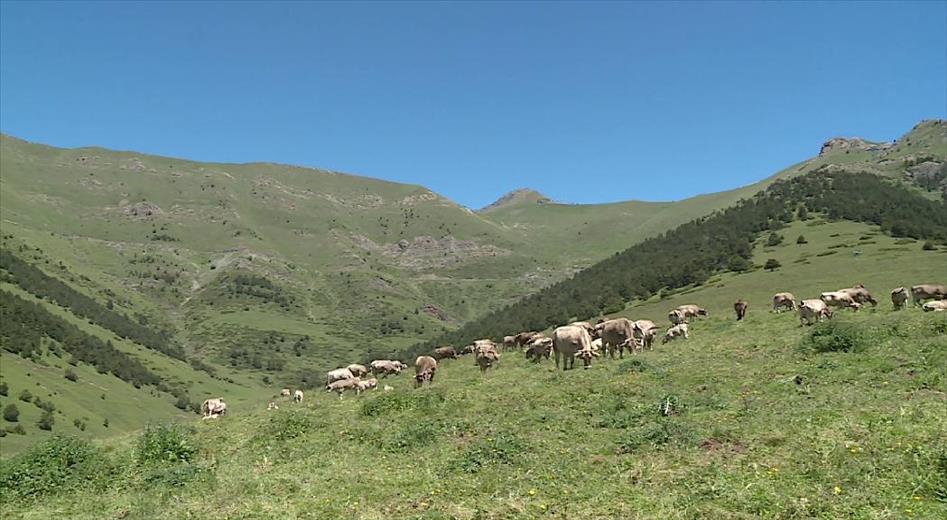 La ministra de Medi Ambient i el director del departament d'Agric